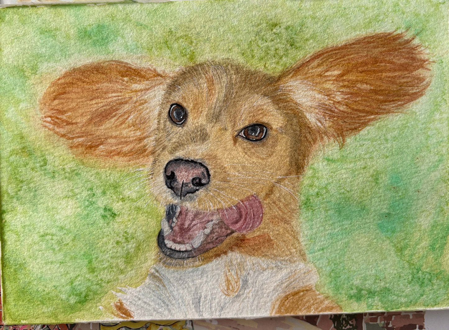 Custom Pet Portraits