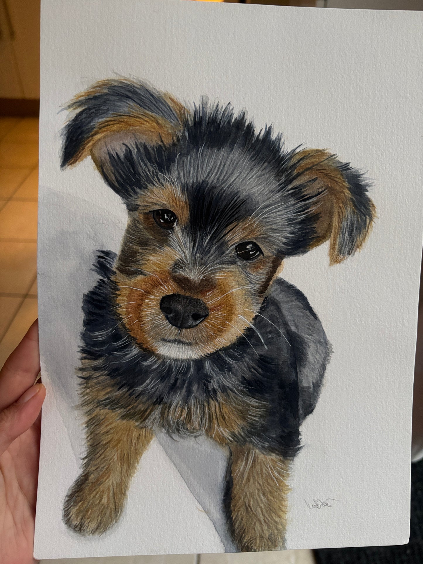 Custom Pet Portraits