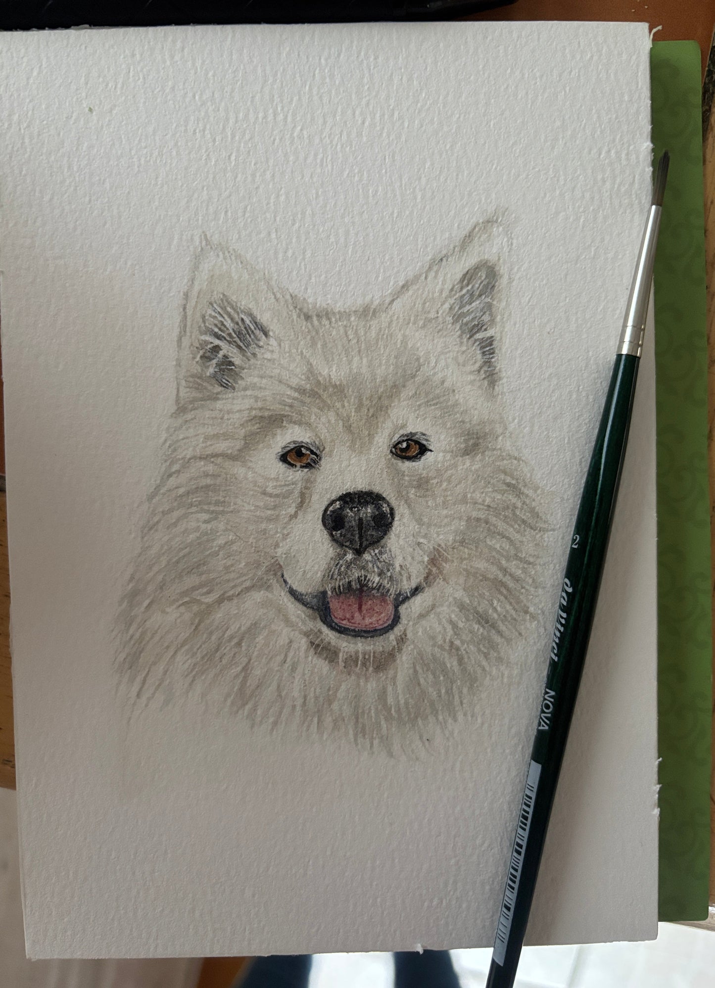 Custom Pet Portraits