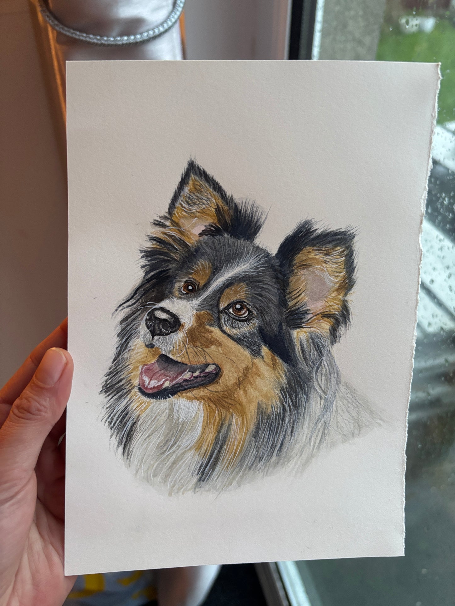 Custom Pet Portraits