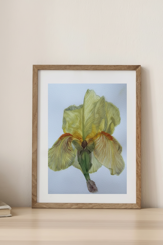 Celý iris print zblízka v přírodním rámu